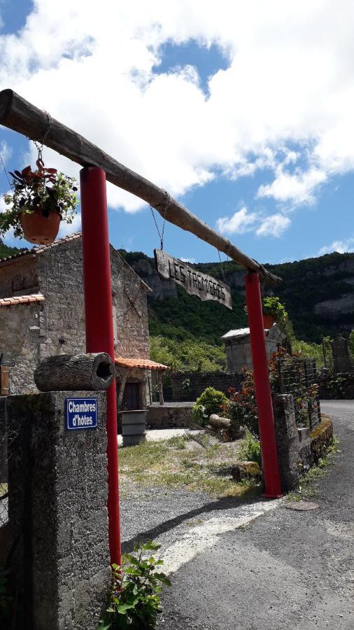 مبيت وإفطار Saint-Paul-des-Fonts Les Tremieres المظهر الخارجي الصورة