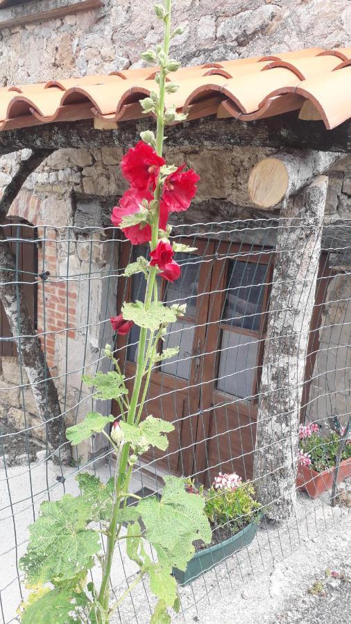 مبيت وإفطار Saint-Paul-des-Fonts Les Tremieres المظهر الخارجي الصورة